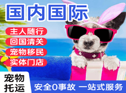 长沙机场空运国际宠物托运 【国